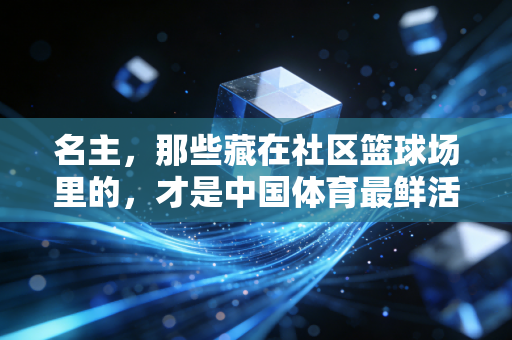 名主，那些藏在社区篮球场里的，才是中国体育最鲜活的底气