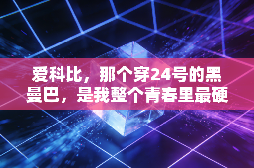 爱科比,那个穿24号的黑曼巴,是我整个青春里最硬的光 爱科比,那个穿24号的黑曼巴,是我整个青春里最硬的光