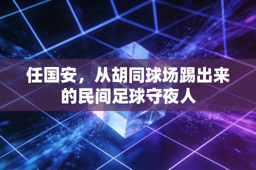 任国安,从胡同球场踢出来的民间足球守夜人 任国安,从胡同球场踢出来的民间足球守夜人