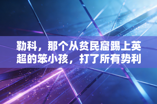 勒科，那个从贫民窟踢上英超的笨小孩，打了所有势利眼的脸