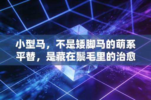 小型马,不是矮脚马的萌系平替,是藏在鬃毛里的治愈生活伙伴 小型马,不是矮脚马的萌系平替,是藏在鬃毛里的治愈生活伙伴