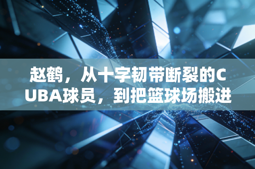 赵鹤,从十字韧带断裂的CUBA球员,到把篮球场搬进老小区的市井体育人 赵鹤,从十字韧带断裂的CUBA球员,到把篮球场搬进老小区的市井体育人