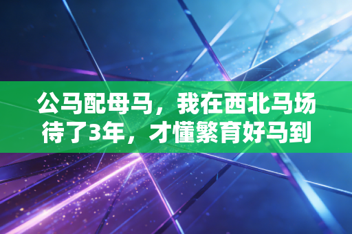 公马配母马,我在西北马场待了3年,才懂繁育好马到底是靠天选还是人算 公马配母马,我在西北马场待了3年,才懂繁育好马到底是靠天选还是人算