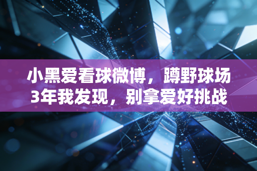 小黑爱看球微博，蹲野球场3年我发现，别拿爱好挑战职业是我听过最扯的PUA