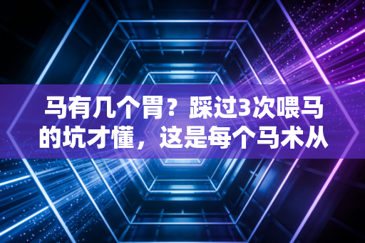 马有几个胃?踩过3次喂马的坑才懂,这是每个马术从业者的入门第一课 马有几个胃?踩过3次喂马的坑才懂,这是每个马术从业者的入门第一课