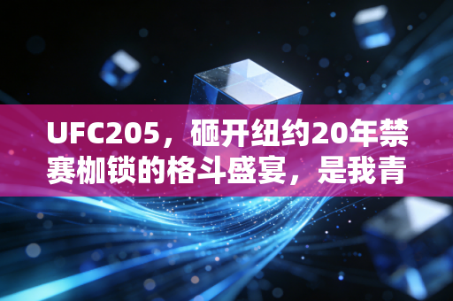 UFC205,砸开纽约20年禁赛枷锁的格斗盛宴,是我青春里最燃的不被认可的热爱 UFC205,砸开纽约20年禁赛枷锁的格斗盛宴,是我青春里最燃的不被认可的热爱