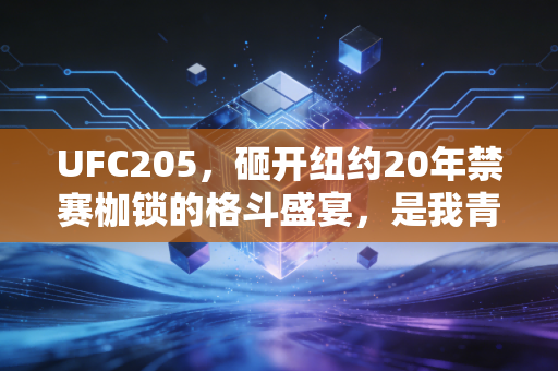 UFC205,砸开纽约20年禁赛枷锁的格斗盛宴,是我青春里最燃的不被认可的热爱 UFC205,砸开纽约20年禁赛枷锁的格斗盛宴,是我青春里最燃的不被认可的热爱