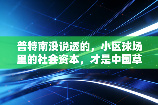 普特南没说透的,小区球场里的社会资本,才是中国草根体育的密码 普特南没说透的,小区球场里的社会资本,才是中国草根体育的密码