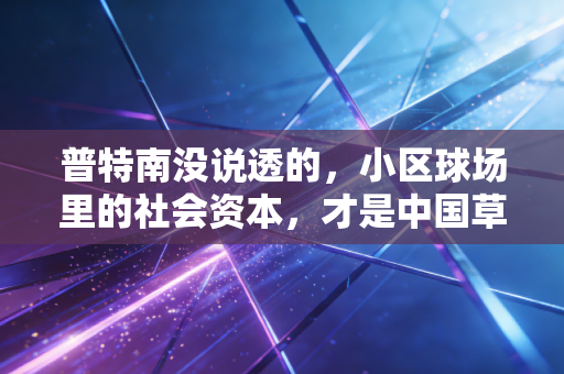 普特南没说透的，小区球场里的社会资本，才是中国草根体育的密码