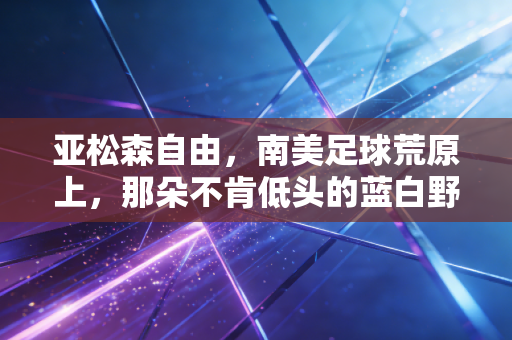 亚松森自由，南美足球荒原上，那朵不肯低头的蓝白野玫瑰
