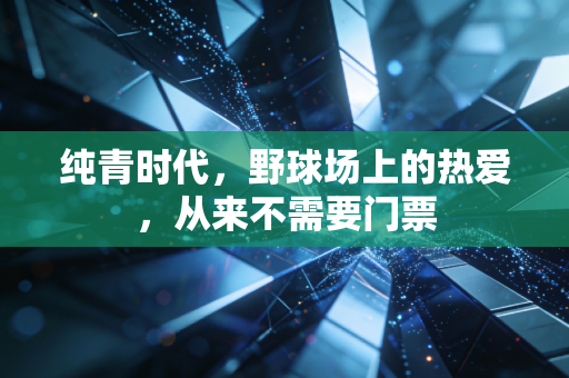 纯青时代，野球场上的热爱，从来不需要门票