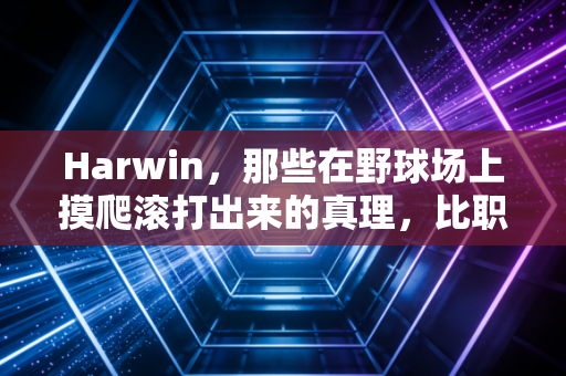 Harwin,那些在野球场上摸爬滚打出来的真理,比职业联赛的鸡汤有用100倍 Harwin,那些在野球场上摸爬滚打出来的真理,比职业联赛的鸡汤有用100倍