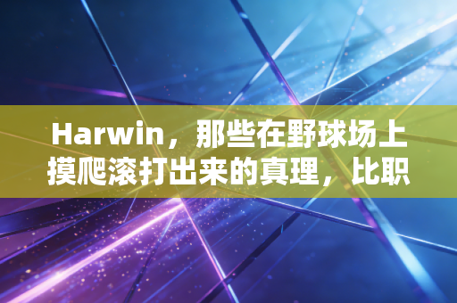 Harwin,那些在野球场上摸爬滚打出来的真理,比职业联赛的鸡汤有用100倍 Harwin,那些在野球场上摸爬滚打出来的真理,比职业联赛的鸡汤有用100倍