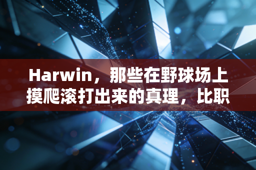 Harwin，那些在野球场上摸爬滚打出来的真理，比职业联赛的鸡汤有用100倍