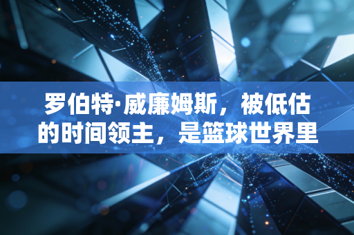 罗伯特·威廉姆斯，被低估的时间领主，是篮球世界里最懂慢也能赢的普通人缩影