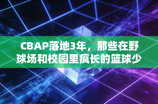 CBAP落地3年,那些在野球场和校园里疯长的篮球少年,才是中国篮球的未来底牌 CBAP落地3年,那些在野球场和校园里疯长的篮球少年,才是中国篮球的未来底牌