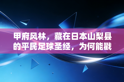 甲府风林,藏在日本山梨县的平民足球圣经,为何能戳中万千普通球迷的软肋? 甲府风林,藏在日本山梨县的平民足球圣经,为何能戳中万千普通球迷的软肋?