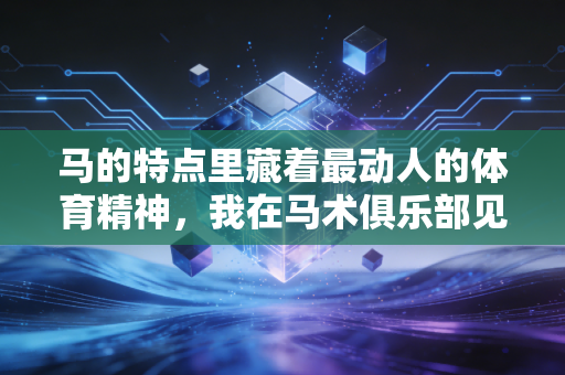 马的特点里藏着最动人的体育精神，我在马术俱乐部见过的那些双向奔赴