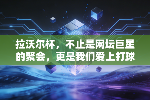 拉沃尔杯,不止是网坛巨星的聚会,更是我们爱上打球的理由 拉沃尔杯,不止是网坛巨星的聚会,更是我们爱上打球的理由