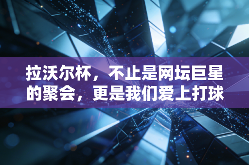 拉沃尔杯，不止是网坛巨星的聚会，更是我们爱上打球的理由