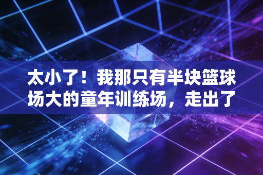 太小了!我那只有半块篮球场大的童年训练场,走出了三个市队队员 太小了!我那只有半块篮球场大的童年训练场,走出了三个市队队员