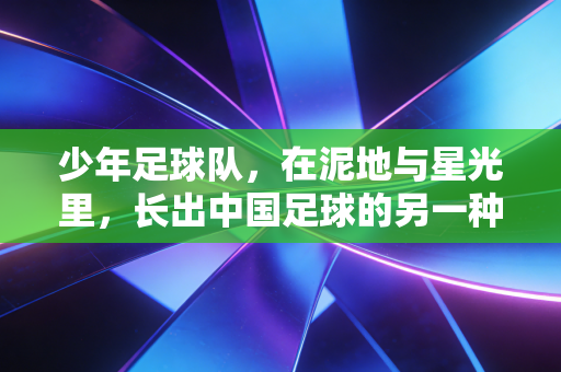 少年足球队,在泥地与星光里,长出中国足球的另一种答案 少年足球队,在泥地与星光里,长出中国足球的另一种答案