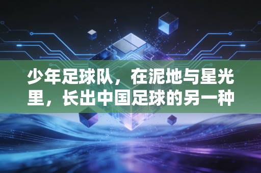少年足球队,在泥地与星光里,长出中国足球的另一种答案 少年足球队,在泥地与星光里,长出中国足球的另一种答案