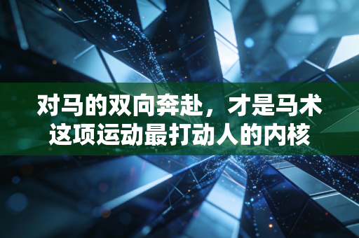 对马的双向奔赴,才是马术这项运动最打动人的内核 对马的双向奔赴,才是马术这项运动最打动人的内核