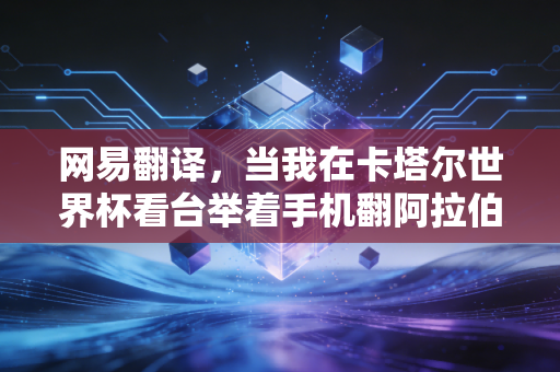 网易翻译，当我在卡塔尔世界杯看台举着手机翻阿拉伯语时，才懂跨语言的热爱从来没有壁垒