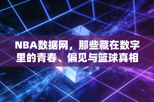 NBA数据网,那些藏在数字里的青春、偏见与篮球真相 NBA数据网,那些藏在数字里的青春、偏见与篮球真相