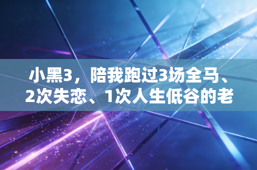 小黑3,陪我跑过3场全马、2次失恋、1次人生低谷的老伙计 小黑3,陪我跑过3场全马、2次失恋、1次人生低谷的老伙计