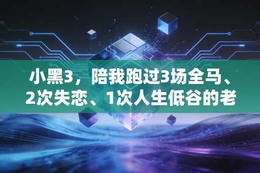 小黑3,陪我跑过3场全马、2次失恋、1次人生低谷的老伙计 小黑3,陪我跑过3场全马、2次失恋、1次人生低谷的老伙计