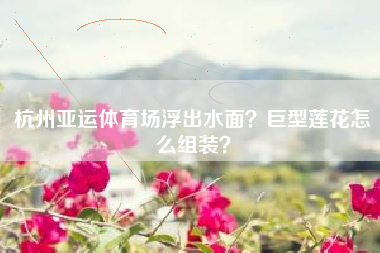 杭州亚运体育场浮出水面？巨型莲花怎么组装？
